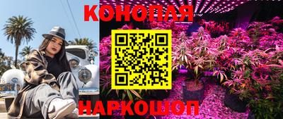 МДПВ Заводоуковск