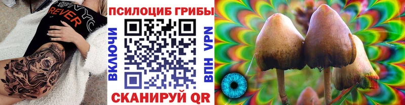 Псилоцибиновые грибы MAGIC MUSHROOMS Нефтекумск
