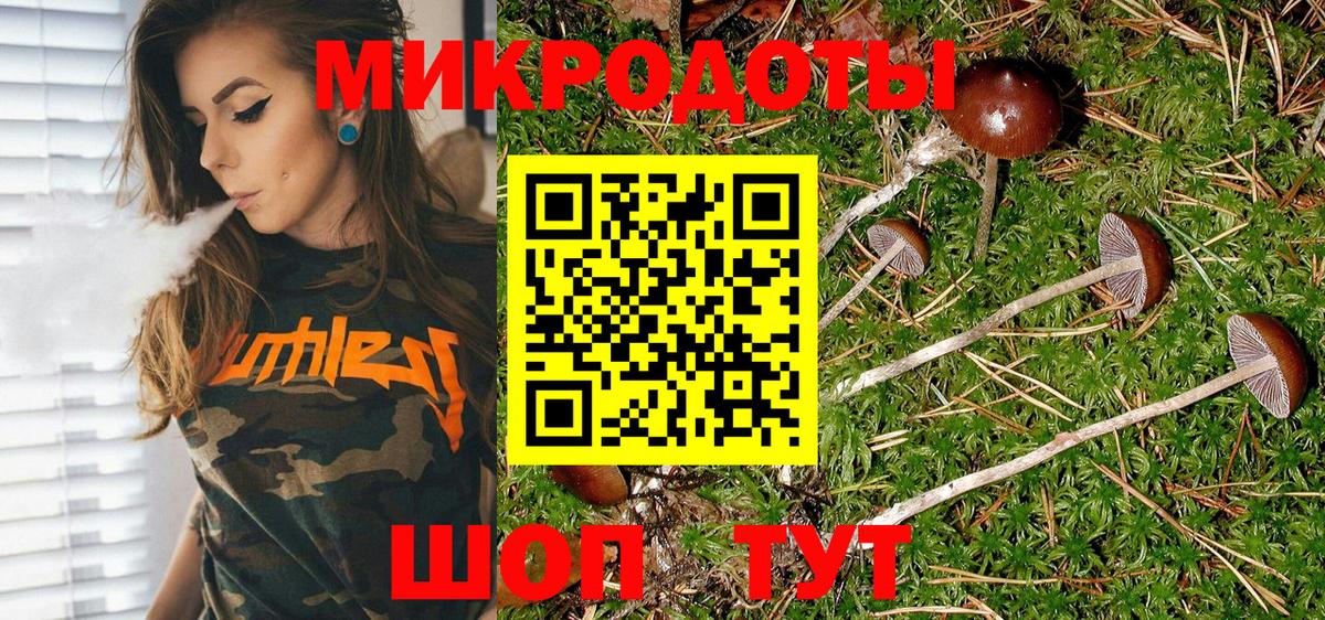Галлюциногенные грибы Psilocybine cubensis Нефтекумск